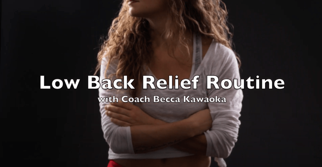 New Video – Low Back Relief&nbsp;Routine