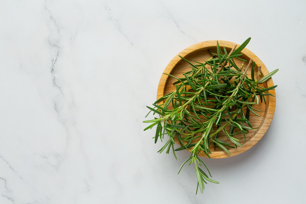 The Active Herbalist Podcast Episode 7: Rosemary (Rosmarinus&nbsp;officinalis)