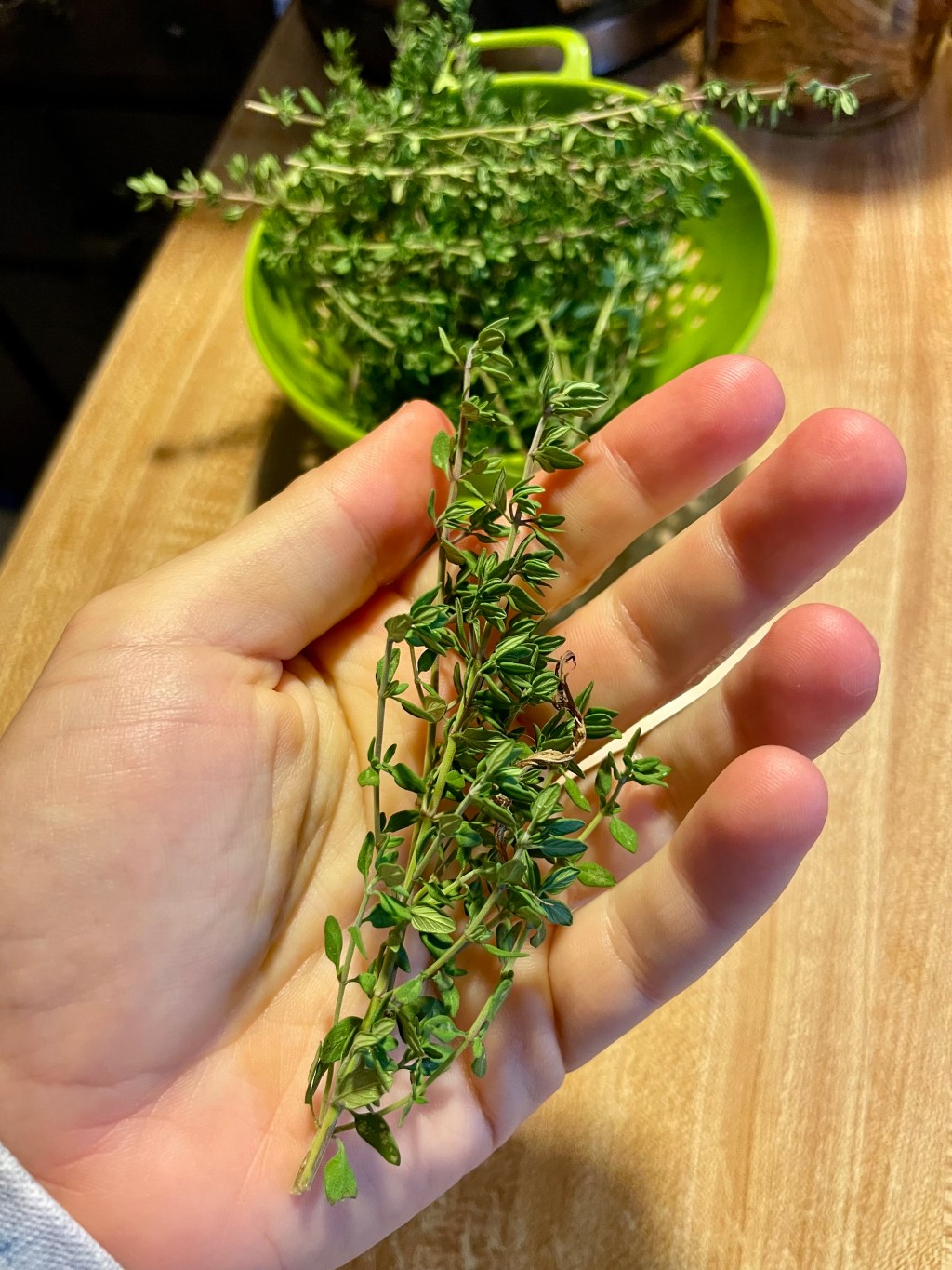 The Active Herbalist Episode 29:&nbsp;Thyme