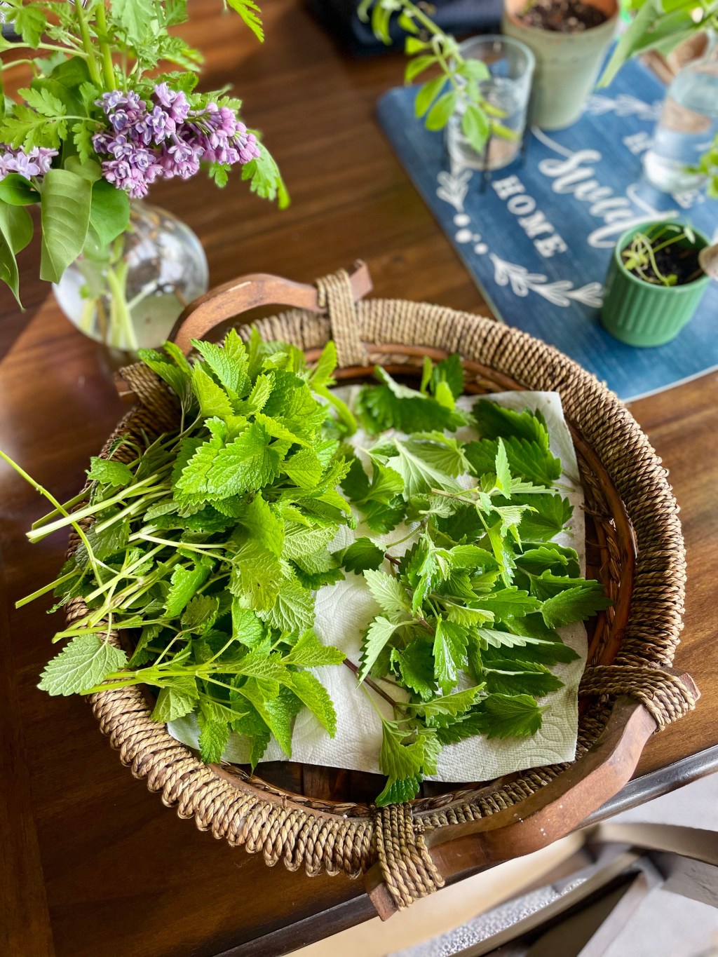 The Active Herbalist Episode 46: Maternity Herbs for New & Expecting&nbsp;Mothers